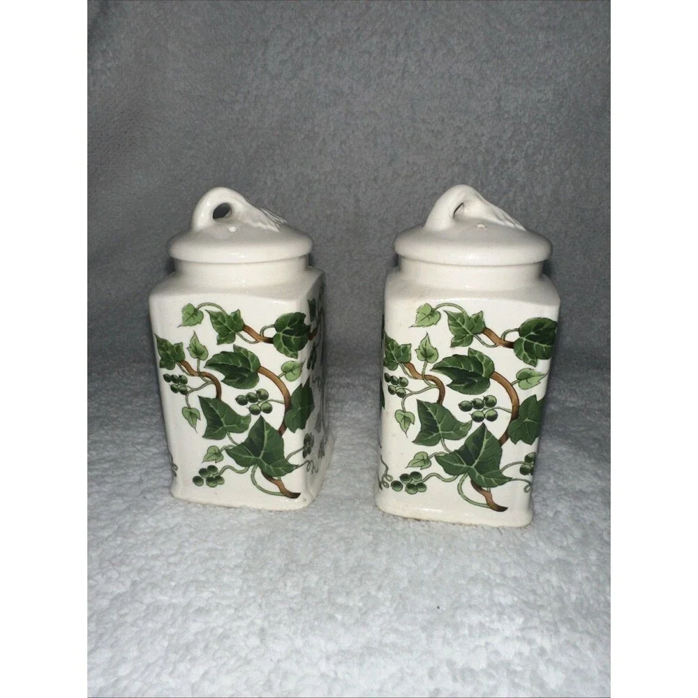 Ivy Ceramic Salt And Pepper Shaker Set Made In Japan